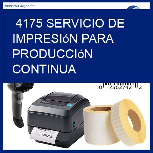 4175 Servicio de impresión para producción continua