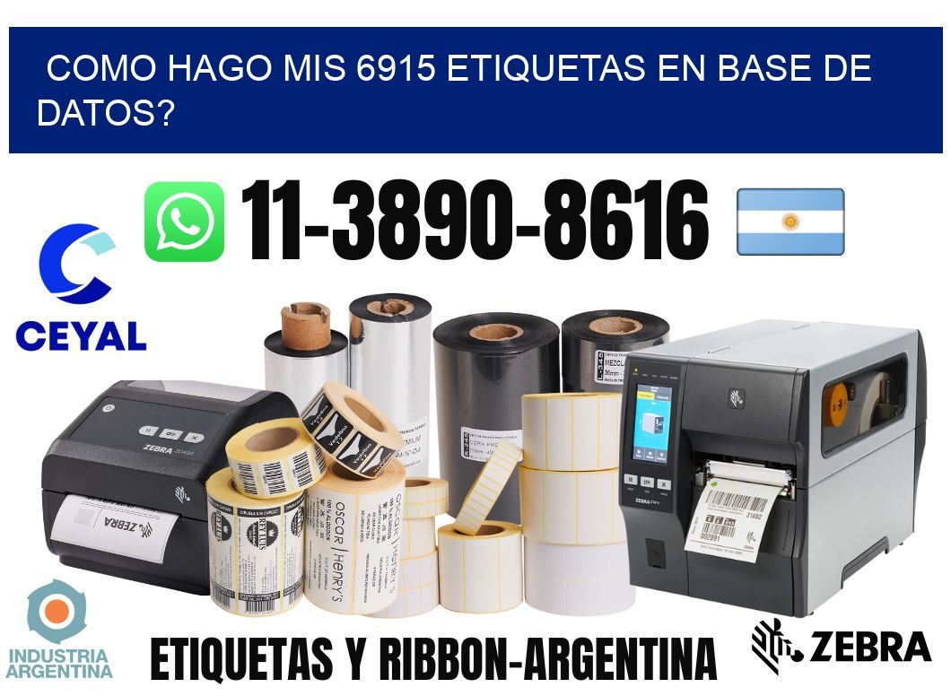 como hago mis 6915 etiquetas en base de datos?