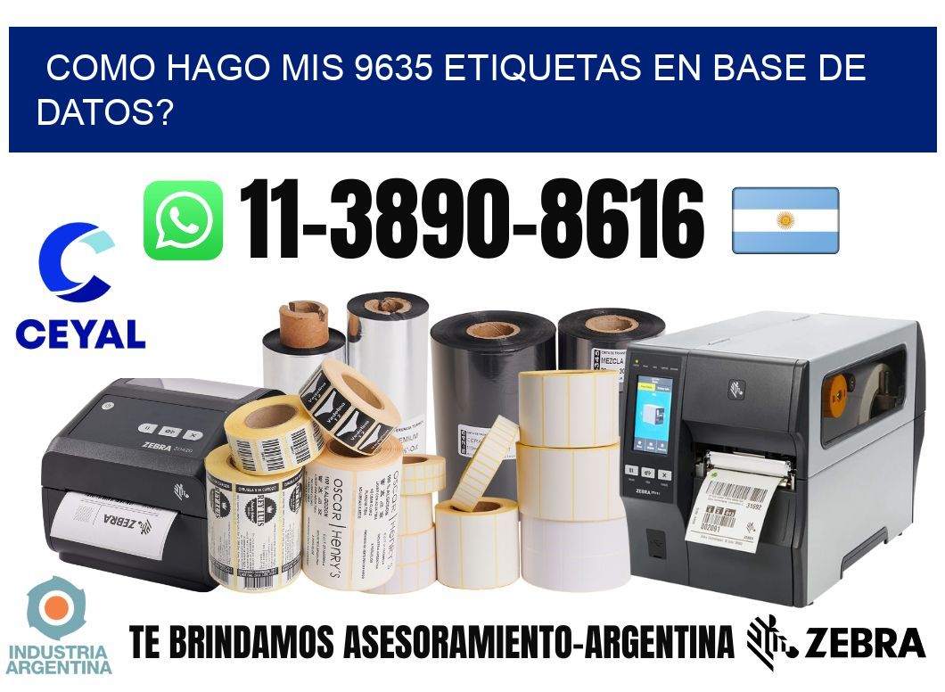 como hago mis 9635 etiquetas en base de datos?