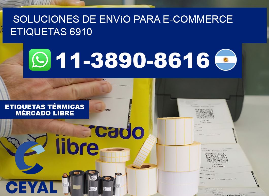 Soluciones de envío para e-commerce  etiquetas 6910