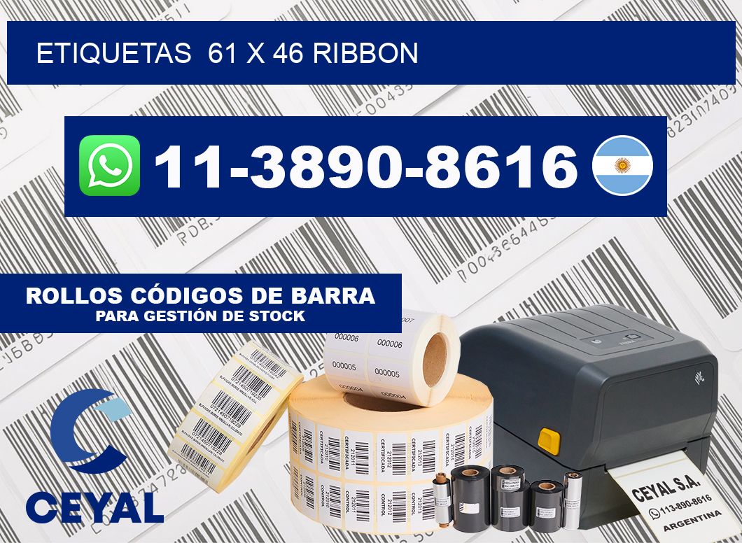 Etiquetas  61 x 46 ribbon