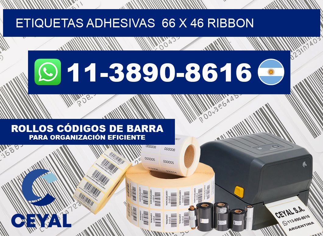 Etiquetas adhesivas  66 x 46 ribbon