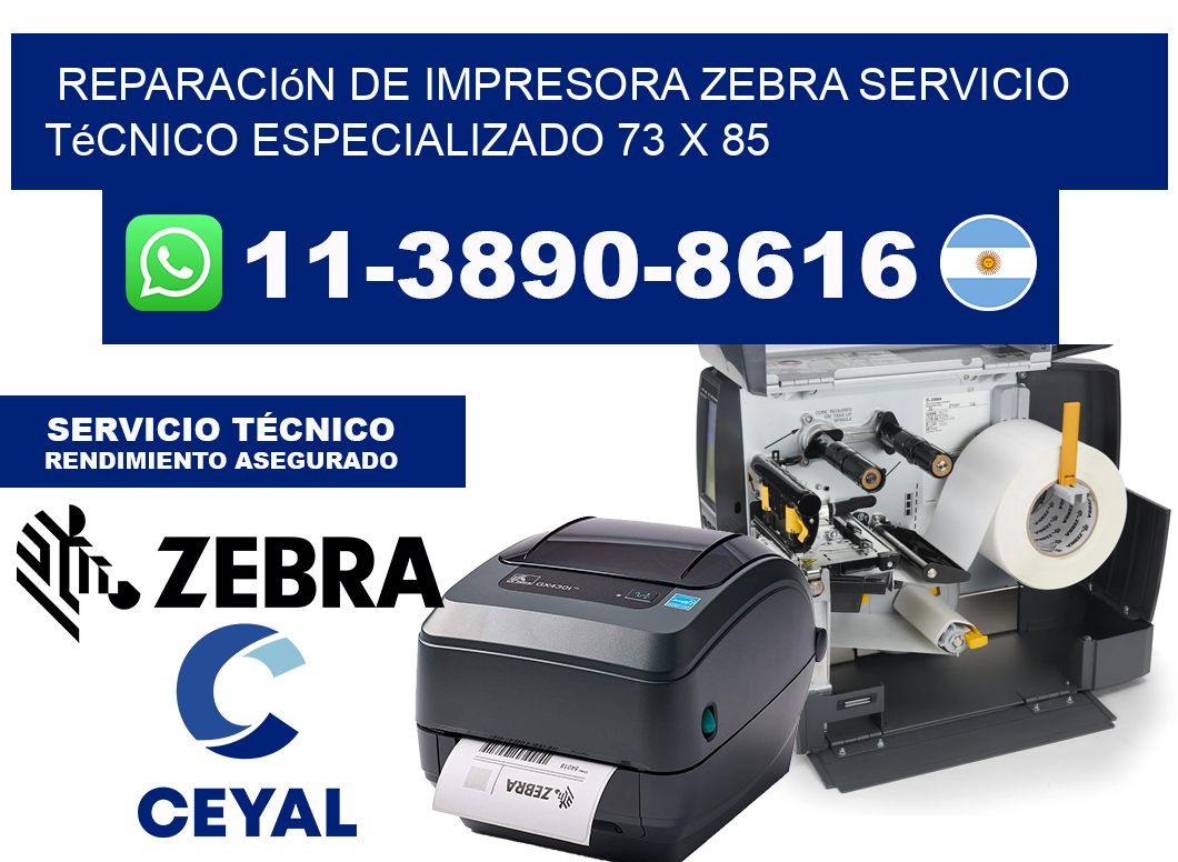 Reparación de Impresora Zebra Servicio Técnico Especializado 73 x 85