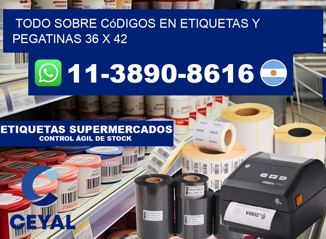 Todo sobre códigos en etiquetas y pegatinas 36 x 42