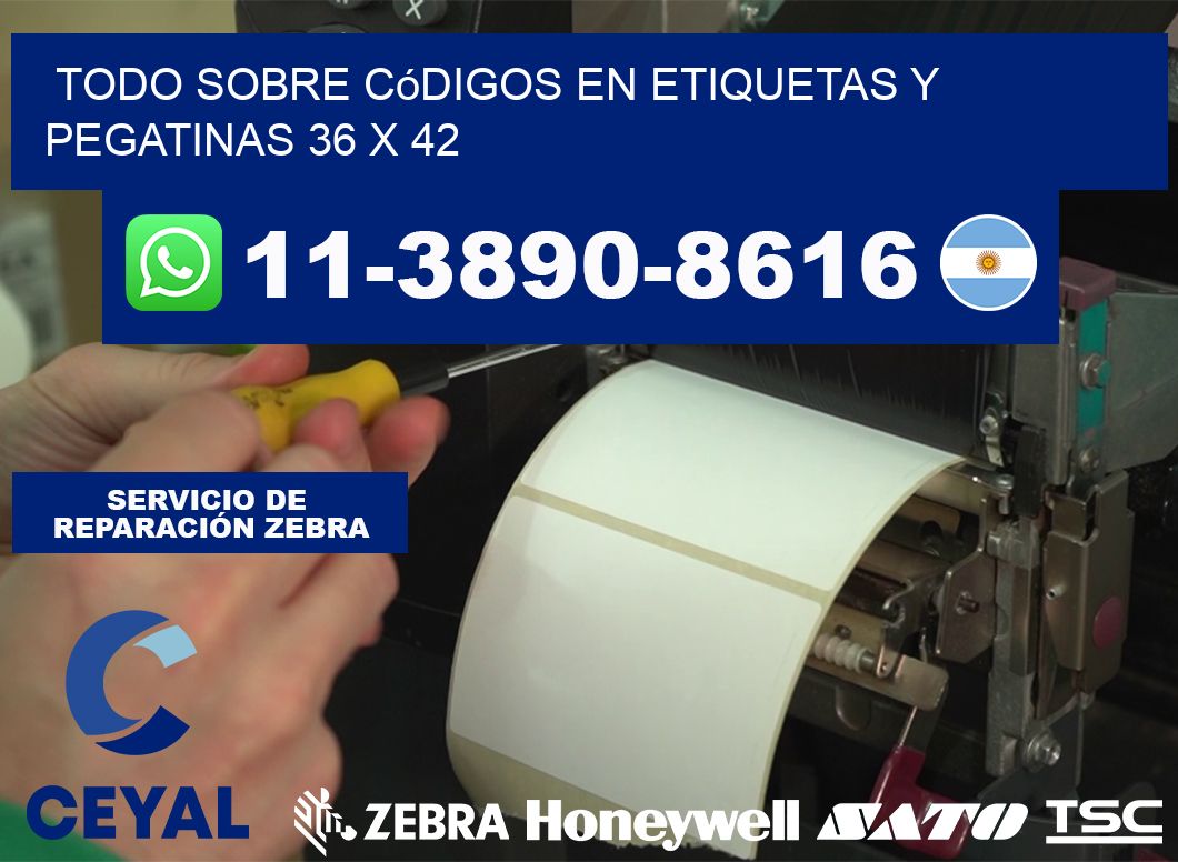 Todo sobre códigos en etiquetas y pegatinas 36 x 42