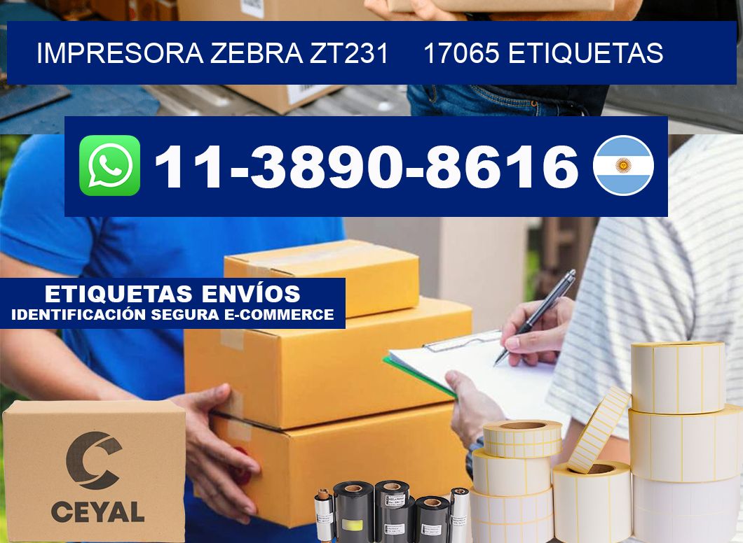 impresora zebra zt231    17065 etiquetas