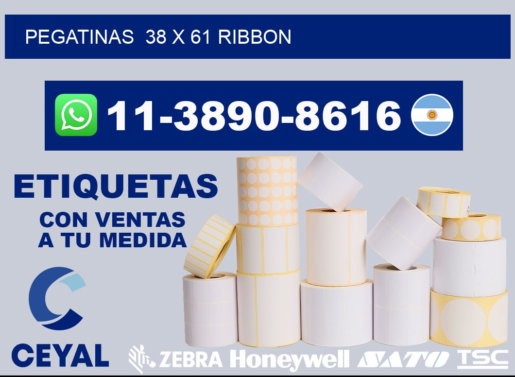 pegatinas  38 x 61 ribbon