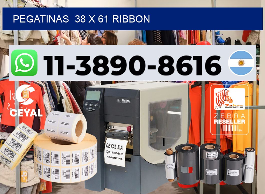 pegatinas  38 x 61 ribbon