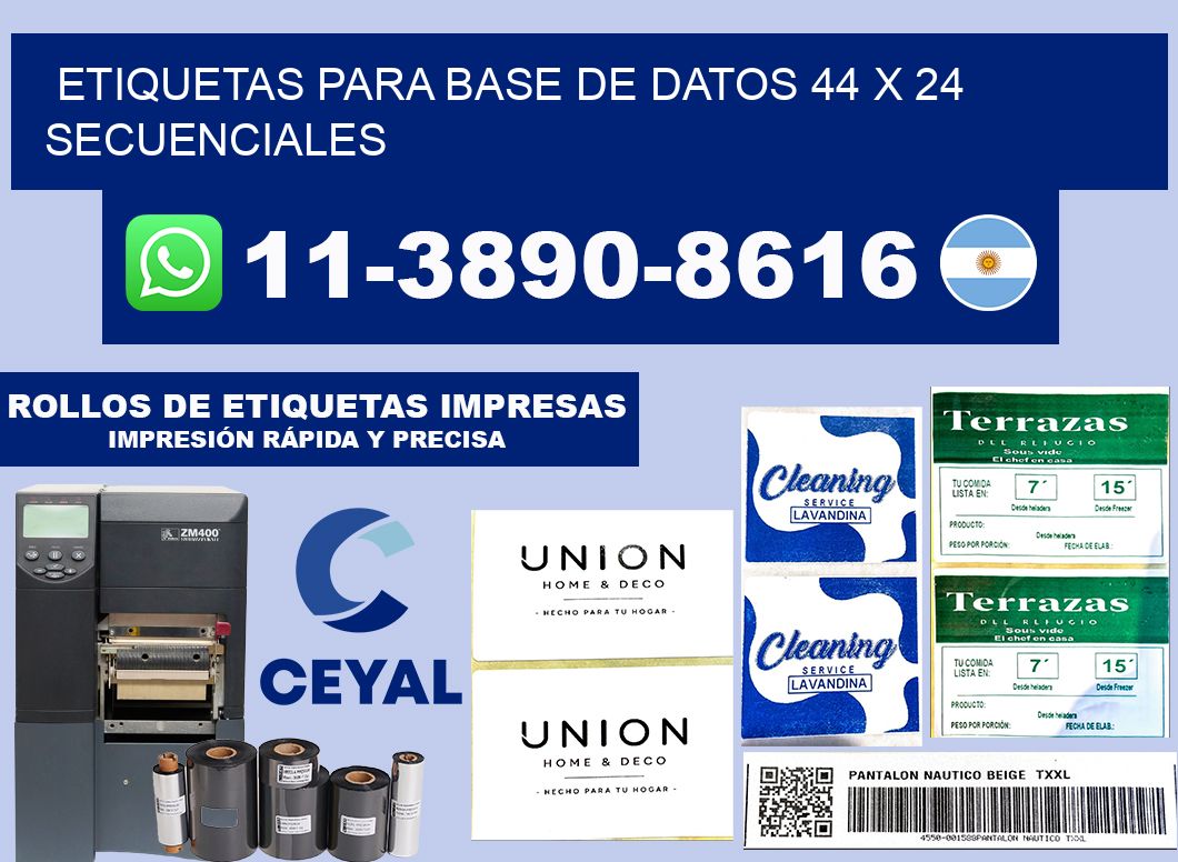 etiquetas para base de datos 44 x 24 secuenciales