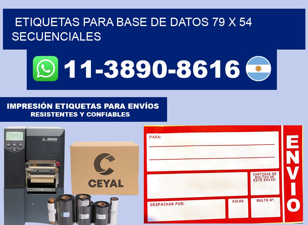 etiquetas para base de datos 79 x 54 secuenciales