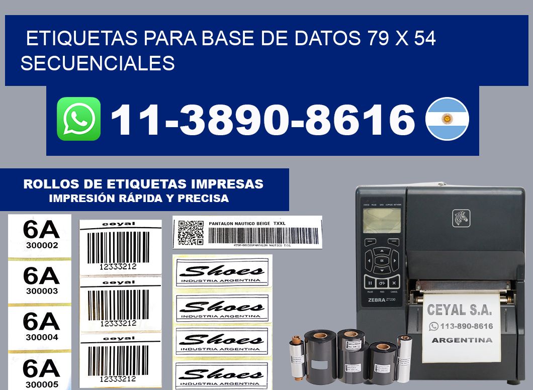 etiquetas para base de datos 79 x 54 secuenciales