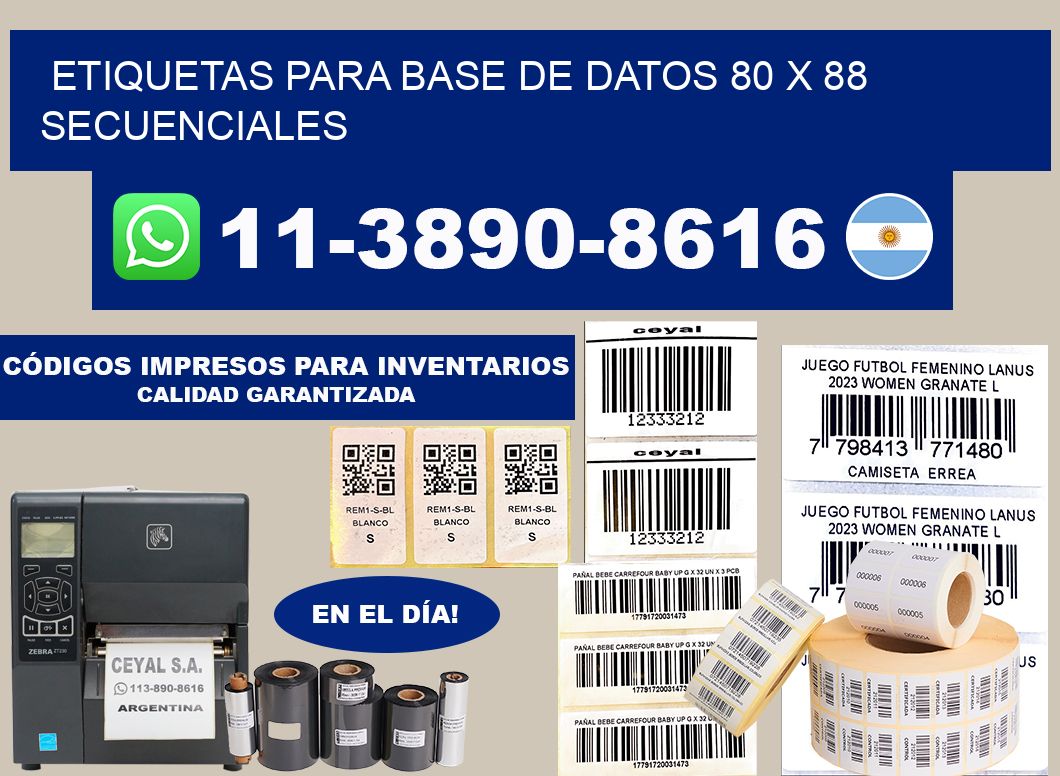 etiquetas para base de datos 80 x 88 secuenciales