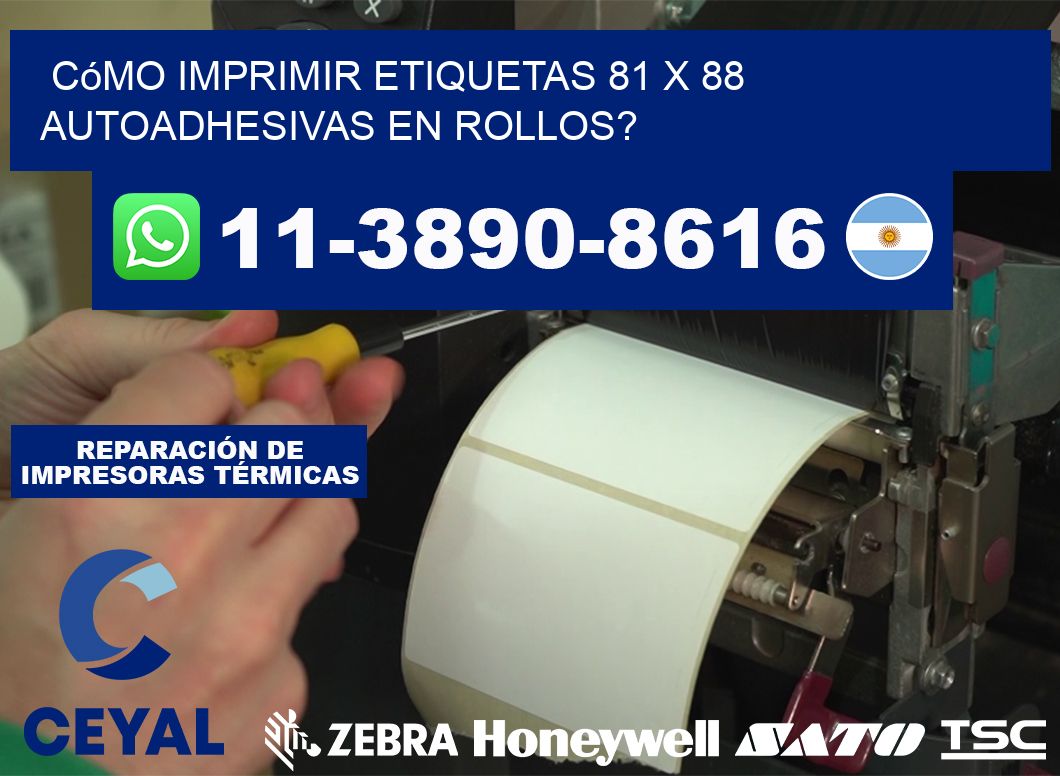 Cómo imprimir etiquetas 81 x 88 autoadhesivas en rollos?