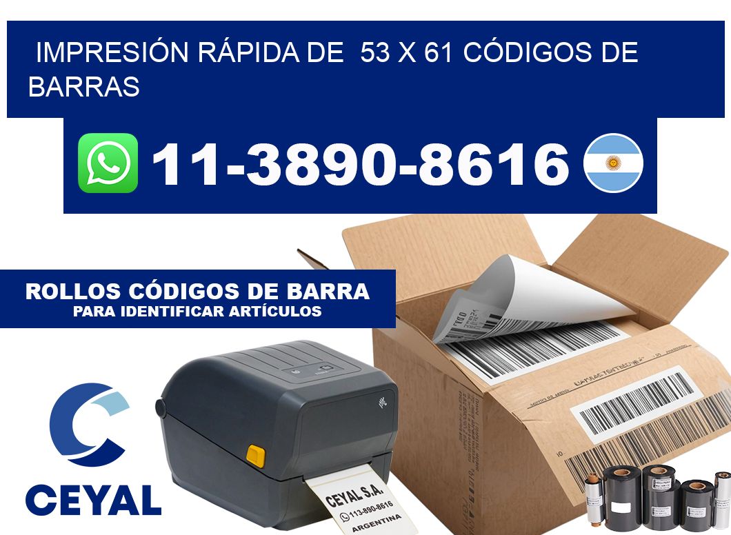 IMPRESIÓN RÁPIDA DE  53 x 61 CÓDIGOS DE BARRAS