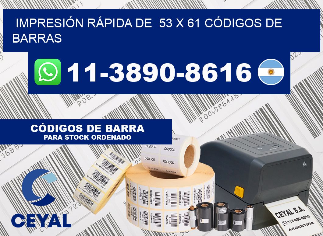 IMPRESIÓN RÁPIDA DE  53 x 61 CÓDIGOS DE BARRAS