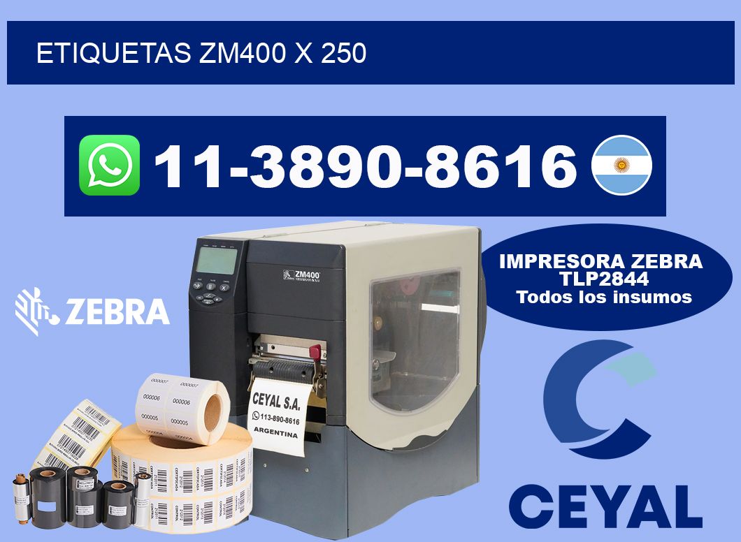 ETIQUETAS ZM400 X 250