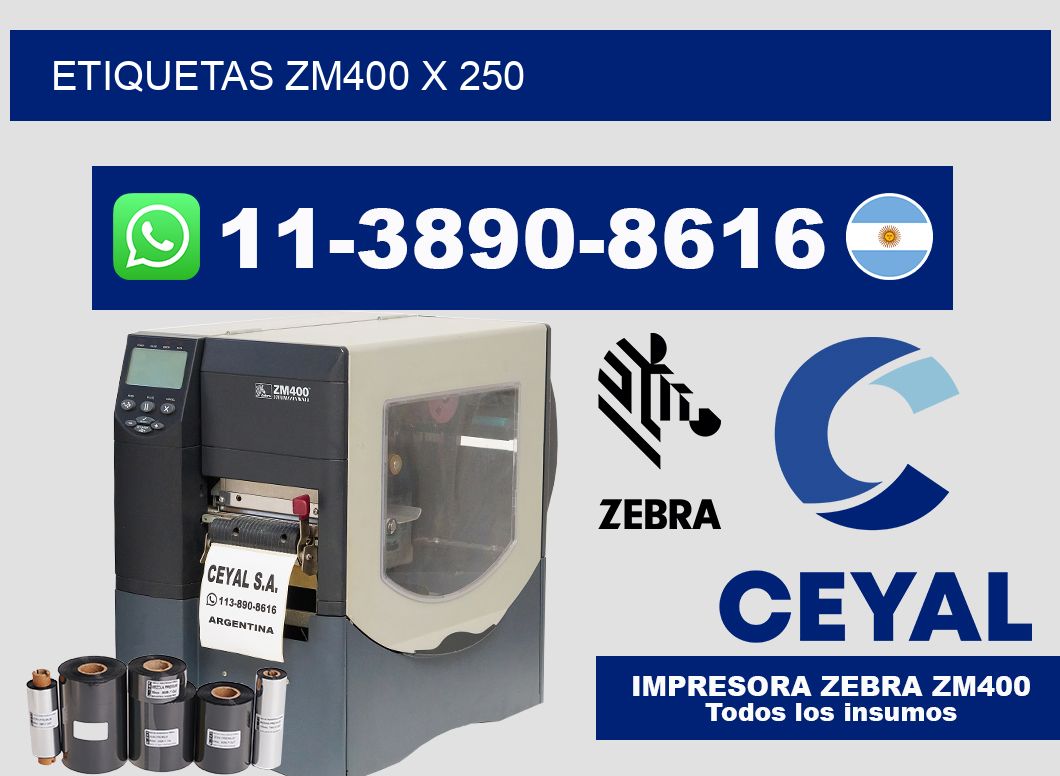 ETIQUETAS ZM400 X 250